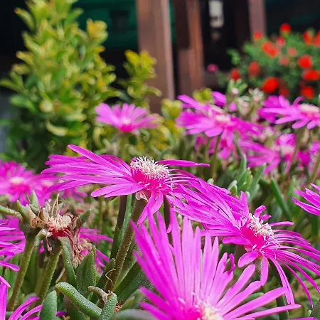 Hotel Ristorante Chateau Aymavilles