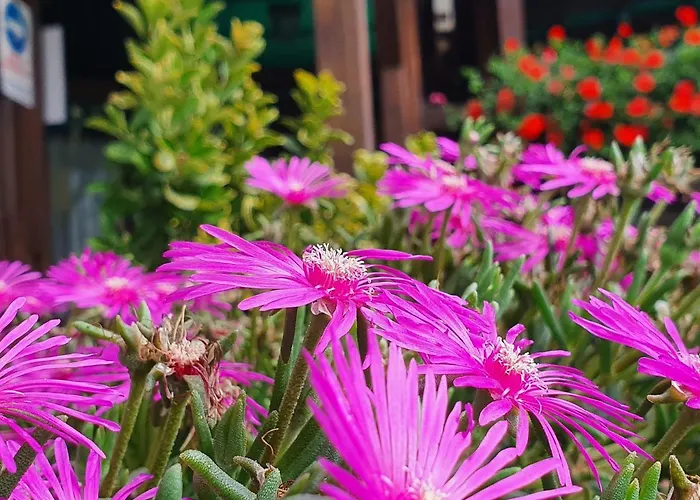 Hotel Ristorante Chateau Aymavilles